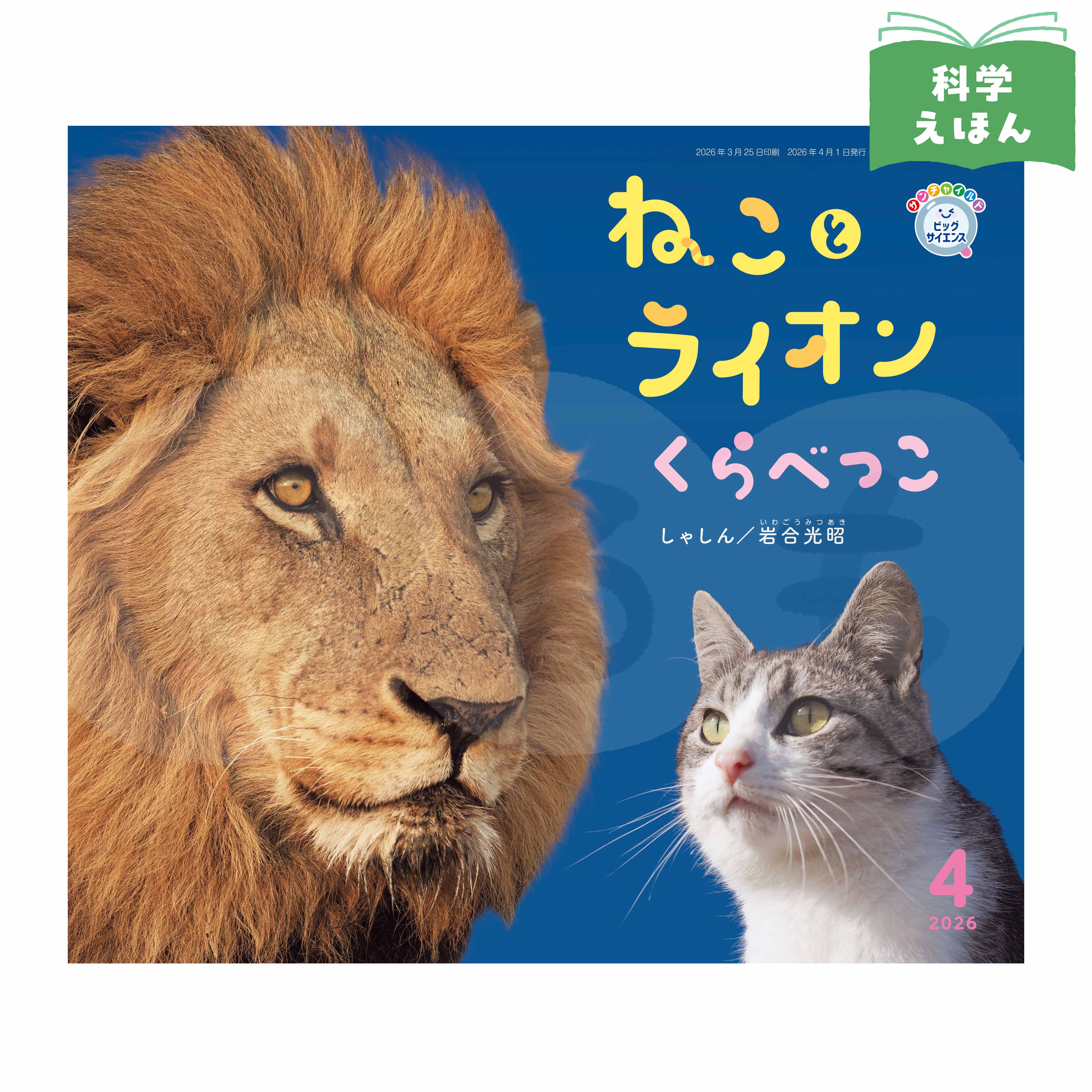 サンチャイルド・ビッグサイエンス　2026年度4月号　「ねこと　ライオン　くらべっこ」
