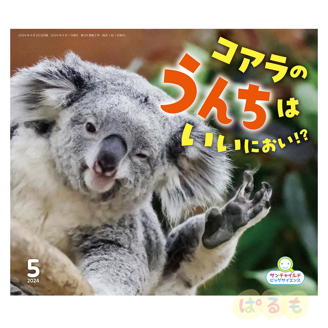サンチャイルド・ビッグサイエンス　2024年 5月号　「コアラの　うんちは　いい　におい！？」