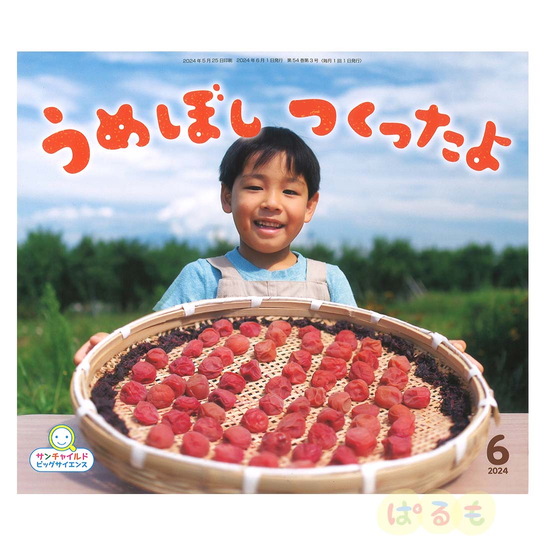 サンチャイルド・ビッグサイエンス　2024年 6月号　「うめぼし　つくったよ」