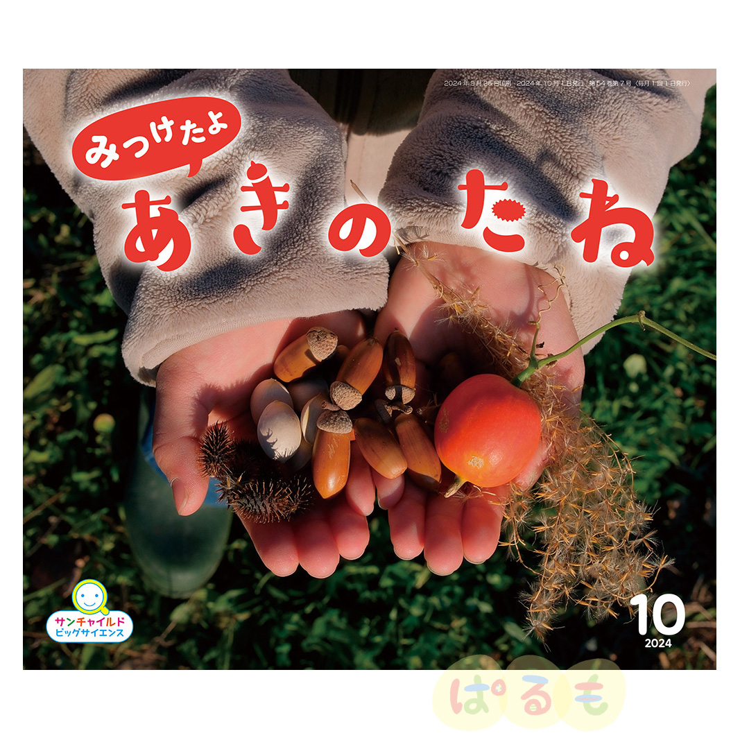 サンチャイルド・ビッグサイエンス　2024年 10月号　「みつけたよ　あきの　たね」